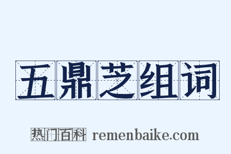 五鼎芝组词是什么意思的图片